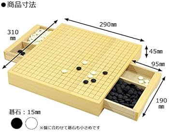 51FlvRV9N+L._AC_UF350,